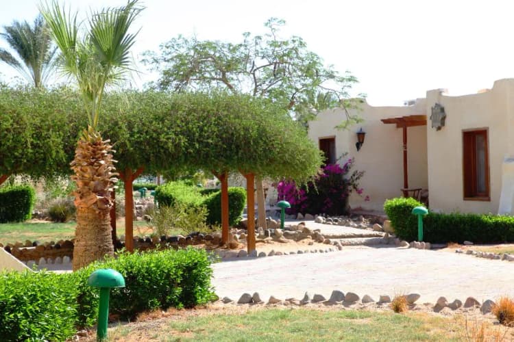 BUNGALOW GARDEN VIEW Room, Magawish Village & Resort, Red Sea Riviera