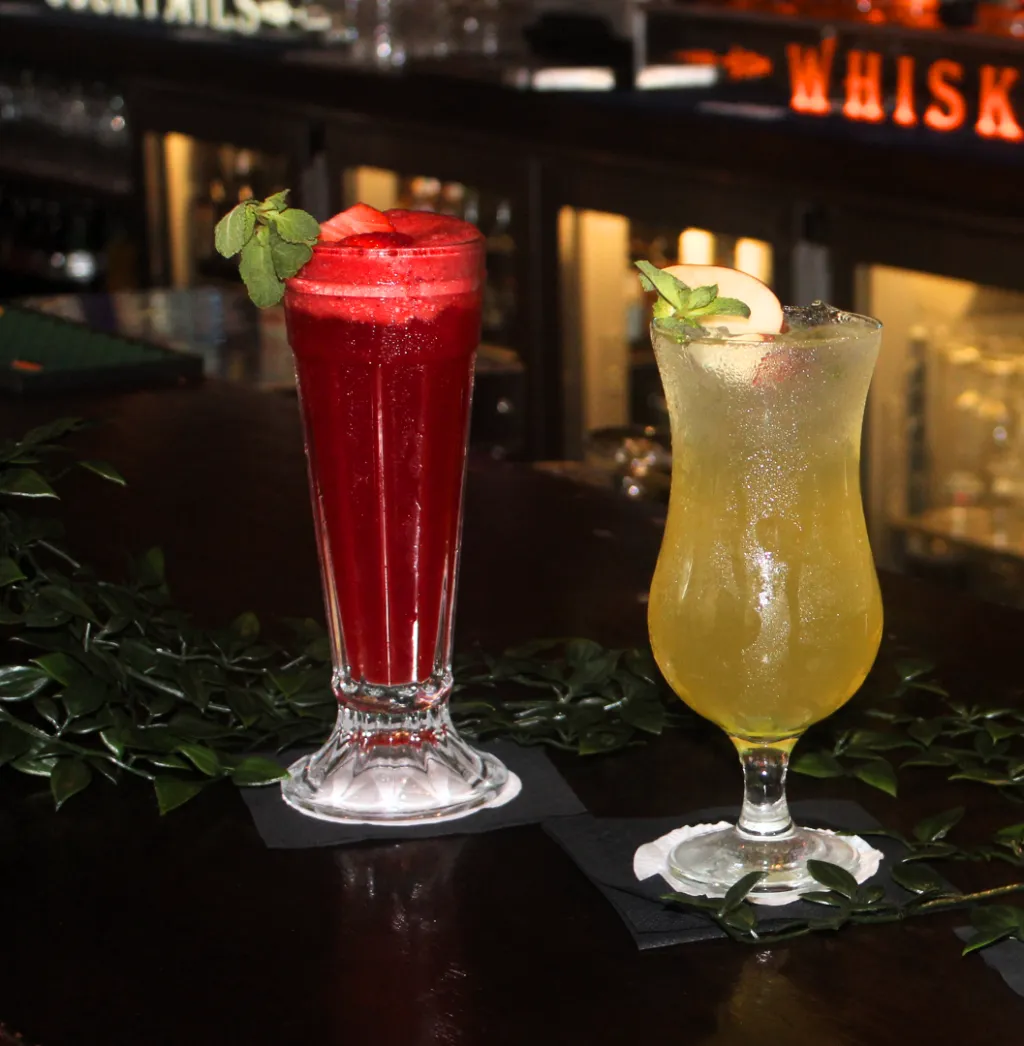 Bar, Louis Fitzgerald Hotel, Dublin