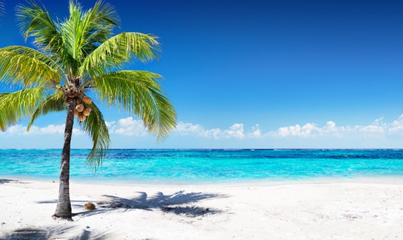 Tropical beach with striking waters, white sand and a coconut palm tree