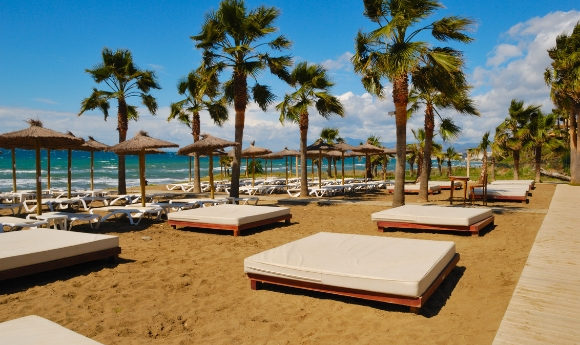 Beautiful beach in Marbella with luxury sunloungers and scattered palm trees