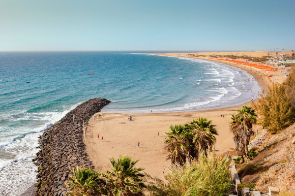 A view of the curved sand at Playa del Ingles Beach in Gran Canaria with golden sand and a backing of palm trees 