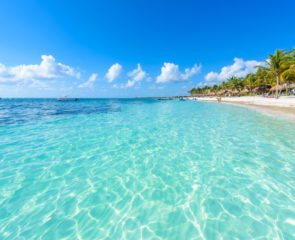 Akumal beach - paradise bay Beach in Quintana Roo, Mexiko - caribbean coast