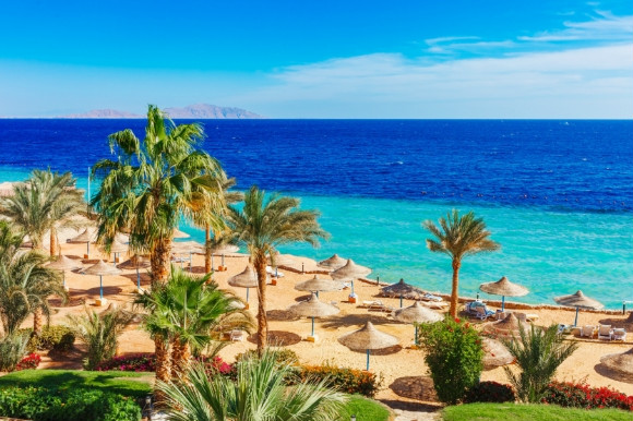 The clear blue sea of Hurghadas dramatic coast in Egypt with palm-tree lined stretches.