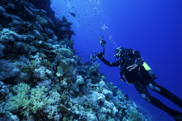 A diver taking pictures of marine life and colorful corals using an underwater camera