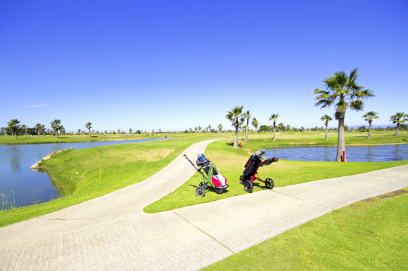 A sunny golf course in Portugal's Algarve with palm trees and manicured greens 