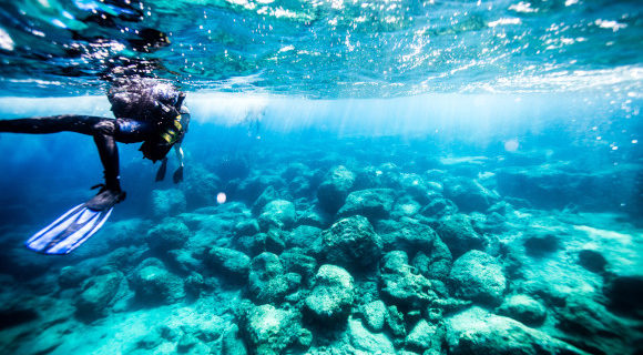 The shallow coral reefs of Turkey being explored by a scuba diver