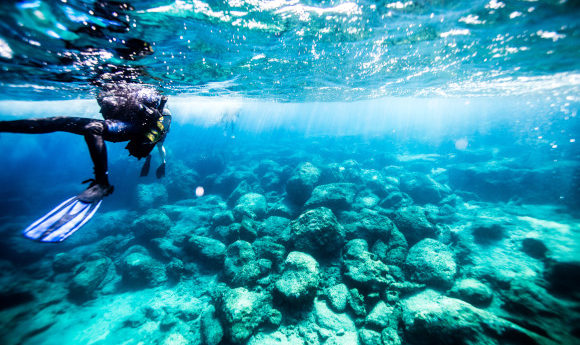 The shallow coral reefs of Turkey being explored by a scuba diver