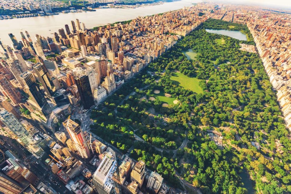 Central Park in New York