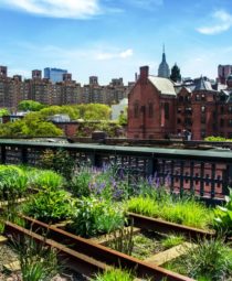 The High Line in New York