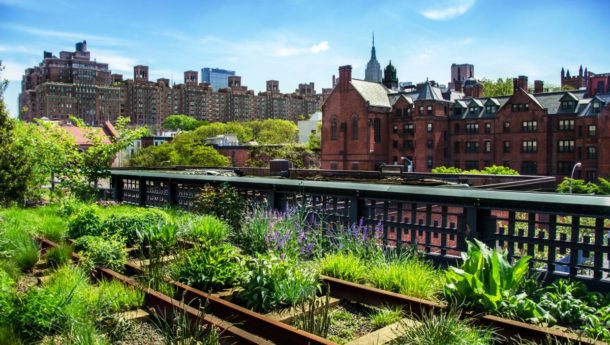 The High Line in New York