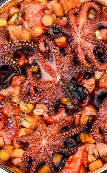 Octopus in Croatia