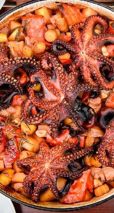 Octopus in Croatia