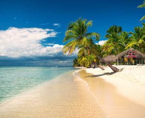 Tropical beach on Saona Island, Dominican Republic