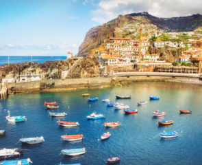 Port of Madeira backed by orange-roofed houses and with fishing boats decorating the water