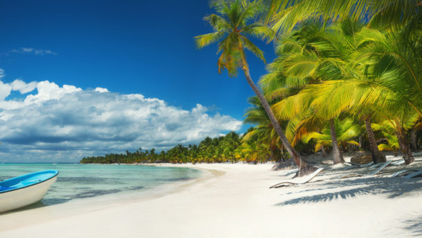 Palm trees on the tropical beach, Dominican Republic