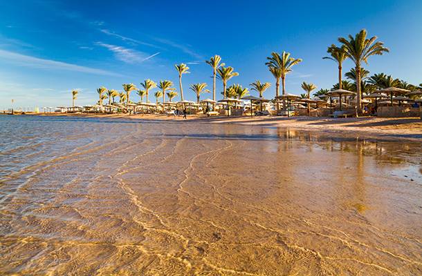 Beach in Hurghada Egypt with palm trees