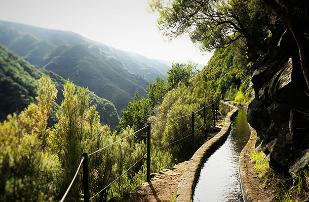 An irrigation channel or levada in Madeira