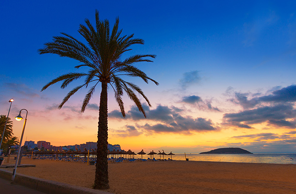 Beach in Magaluf with palm tree at sunset