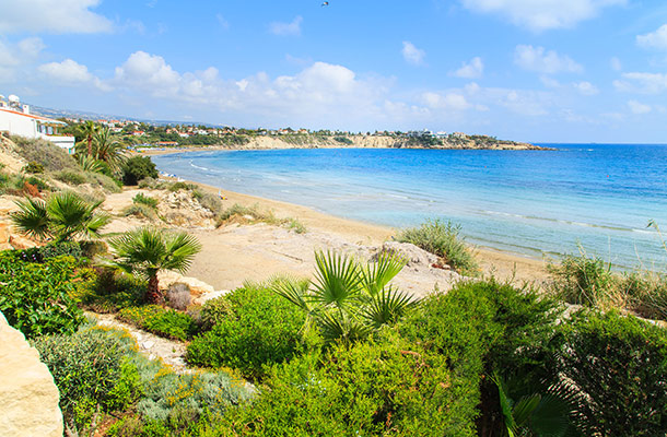 A view of the blue ocean with foliage in the foreground in Paphos, Cyprus.