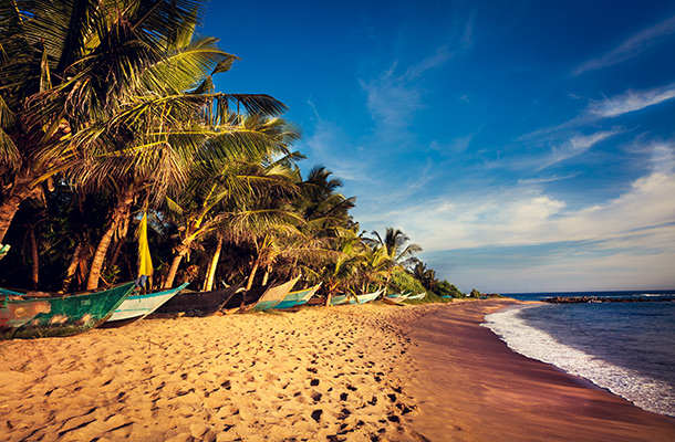 Beach in Mirrisa, Sri Lanka