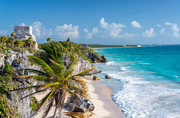 Cancun beach with palm tree
